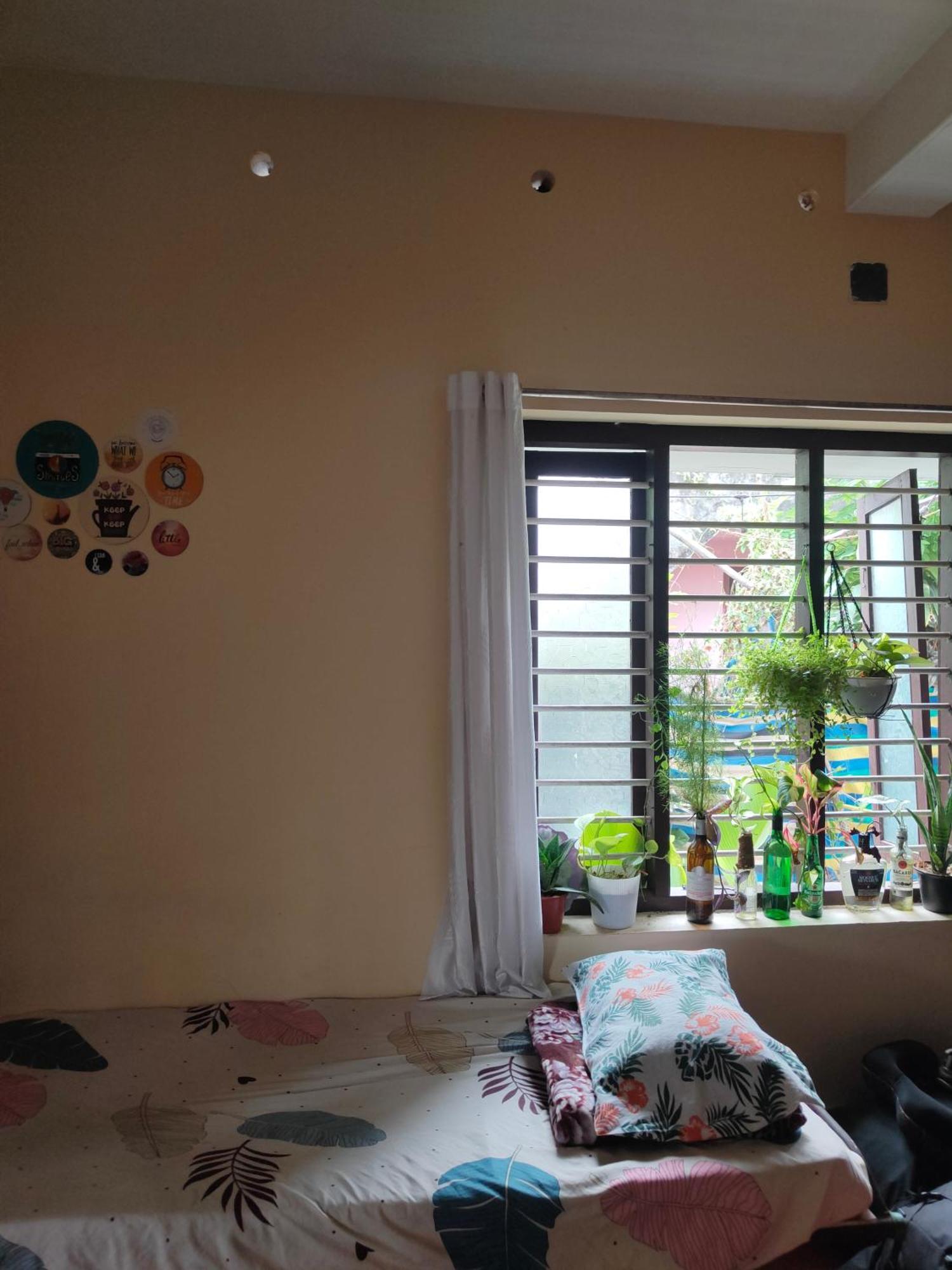 Jeehaa Homestay Alappuzha Buitenkant foto