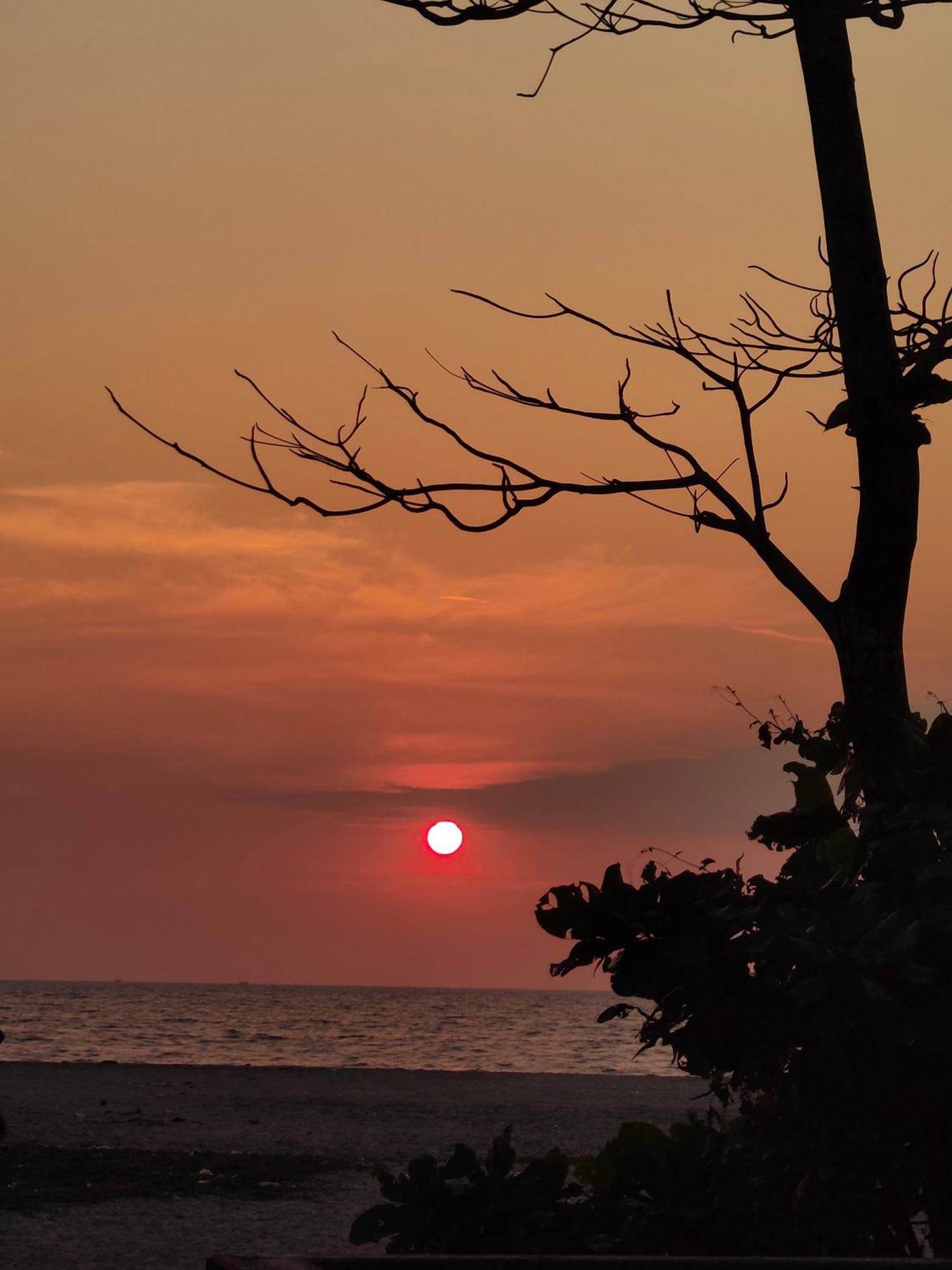 Jeehaa Homestay Alappuzha Buitenkant foto