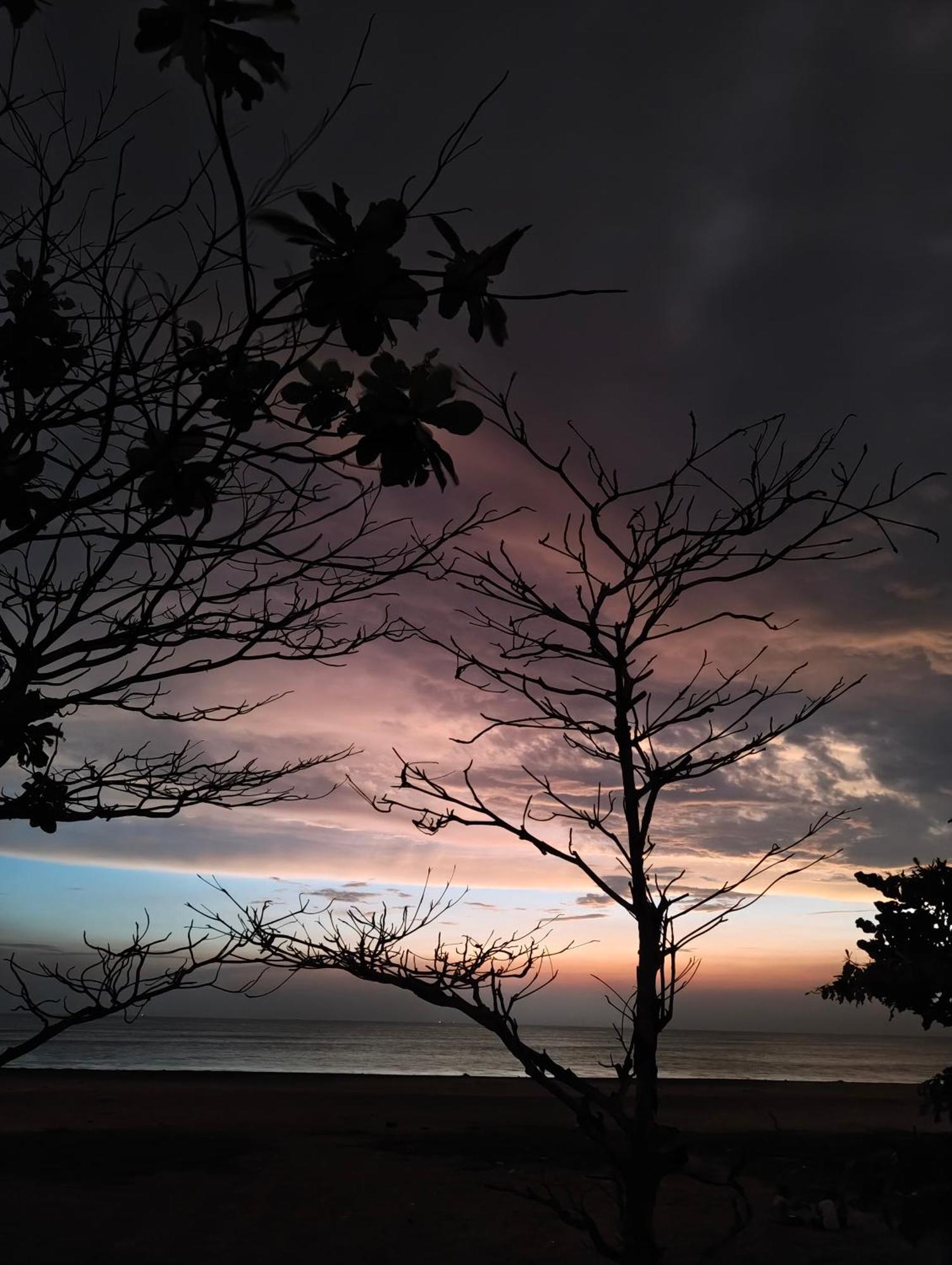 Jeehaa Homestay Alappuzha Buitenkant foto